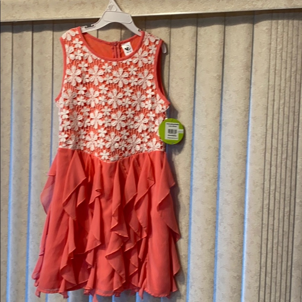 Little girls dress size 10